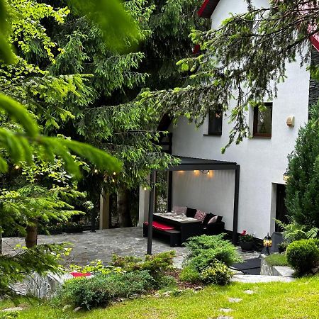 Mountain Chalet - Cabana La Muntele Baisorii Muntele Cacovei  Exteriör bild