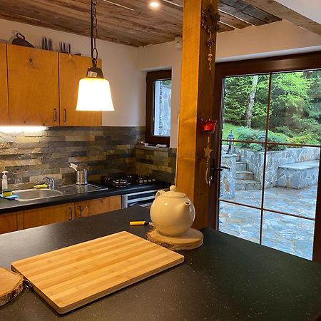 Mountain Chalet - Cabana La Muntele Baisorii Muntele Cacovei  Exteriör bild