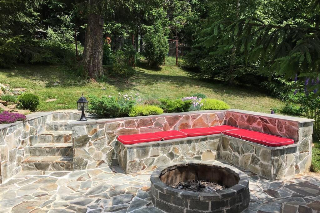 Mountain Chalet - Cabana La Muntele Baisorii Muntele Cacovei  Exteriör bild
