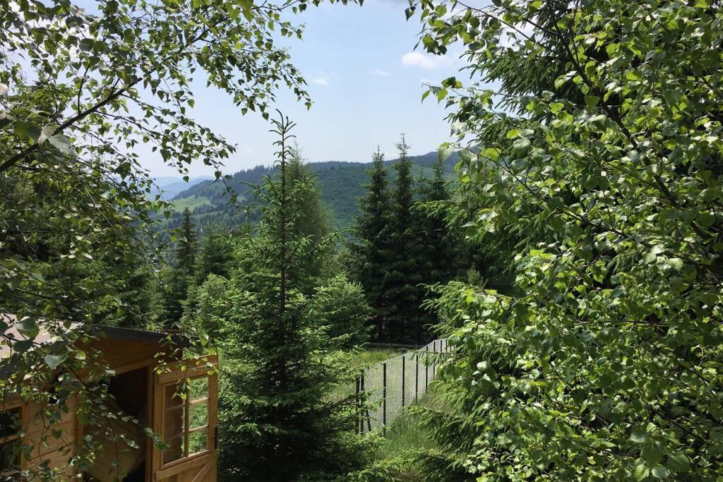 Mountain Chalet - Cabana La Muntele Baisorii Muntele Cacovei  Exteriör bild