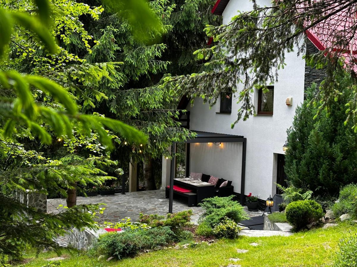 Mountain Chalet - Cabana La Muntele Baisorii Muntele Cacovei  Exteriör bild