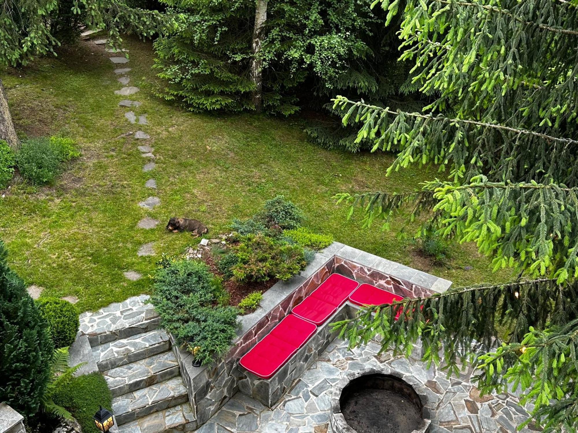 Mountain Chalet - Cabana La Muntele Baisorii Muntele Cacovei  Exteriör bild